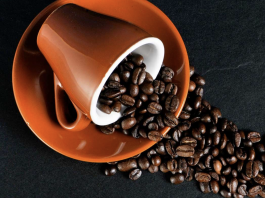 Le 1er octobre devient Journée internationale du café de l’ONU : une reconnaissance stratégique pour toute la filière