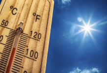 Canicule, une (eau)baine pour les fontaines